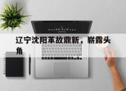 澳客足彩网官网-辽宁沈阳革故鼎新，崭露头角的简单介绍