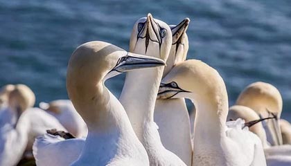 足球职业联赛胜负悬念不定，强队对决备受瞩目