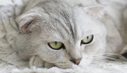 热血激战，胜者为王，败者反思—王者之路的热血宣言