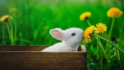 足球职业联赛胜负悬念不定，强队对决备受瞩目