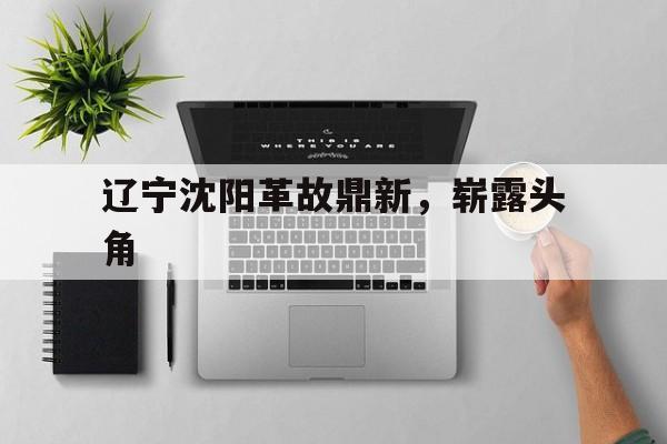 辽宁沈阳革故鼎新，崭露头角的简单介绍